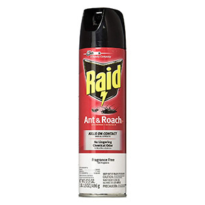 best ant spray Raid Insecticide Killer