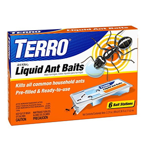 best ant traps Terro T300