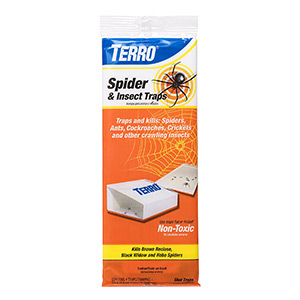Best Spider Trap Terro T3206