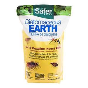 best outdoor ant killer Diatomaceous Earth